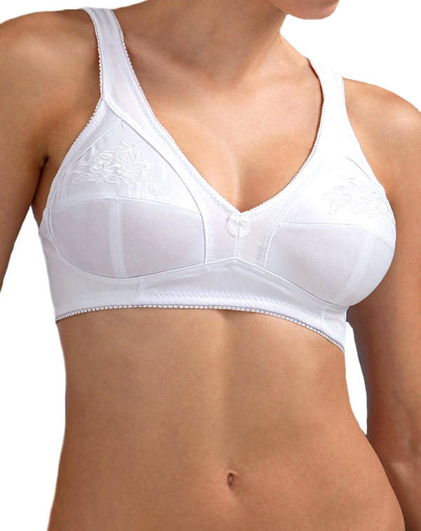 Full Figure Bra