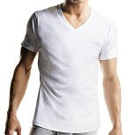 T-Shirt V-Neck (White)